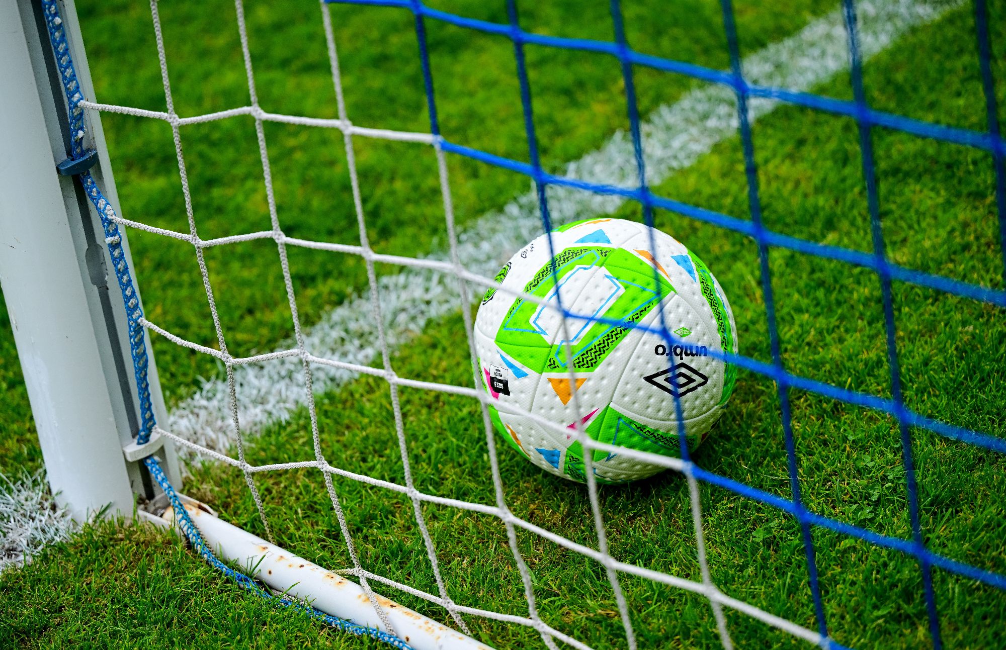 The FAI Welcomes €3 Million Government Investment in LOI Academy Development