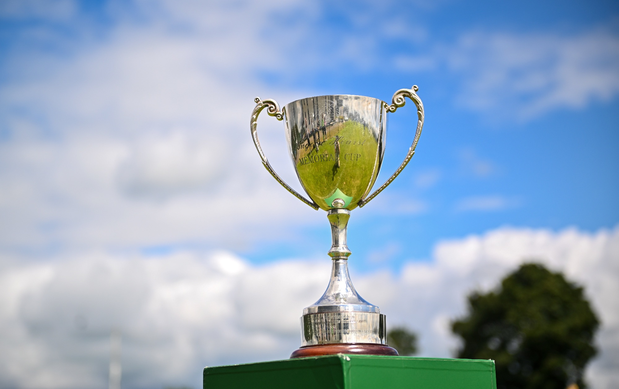 AngelaHearstCup.jpg