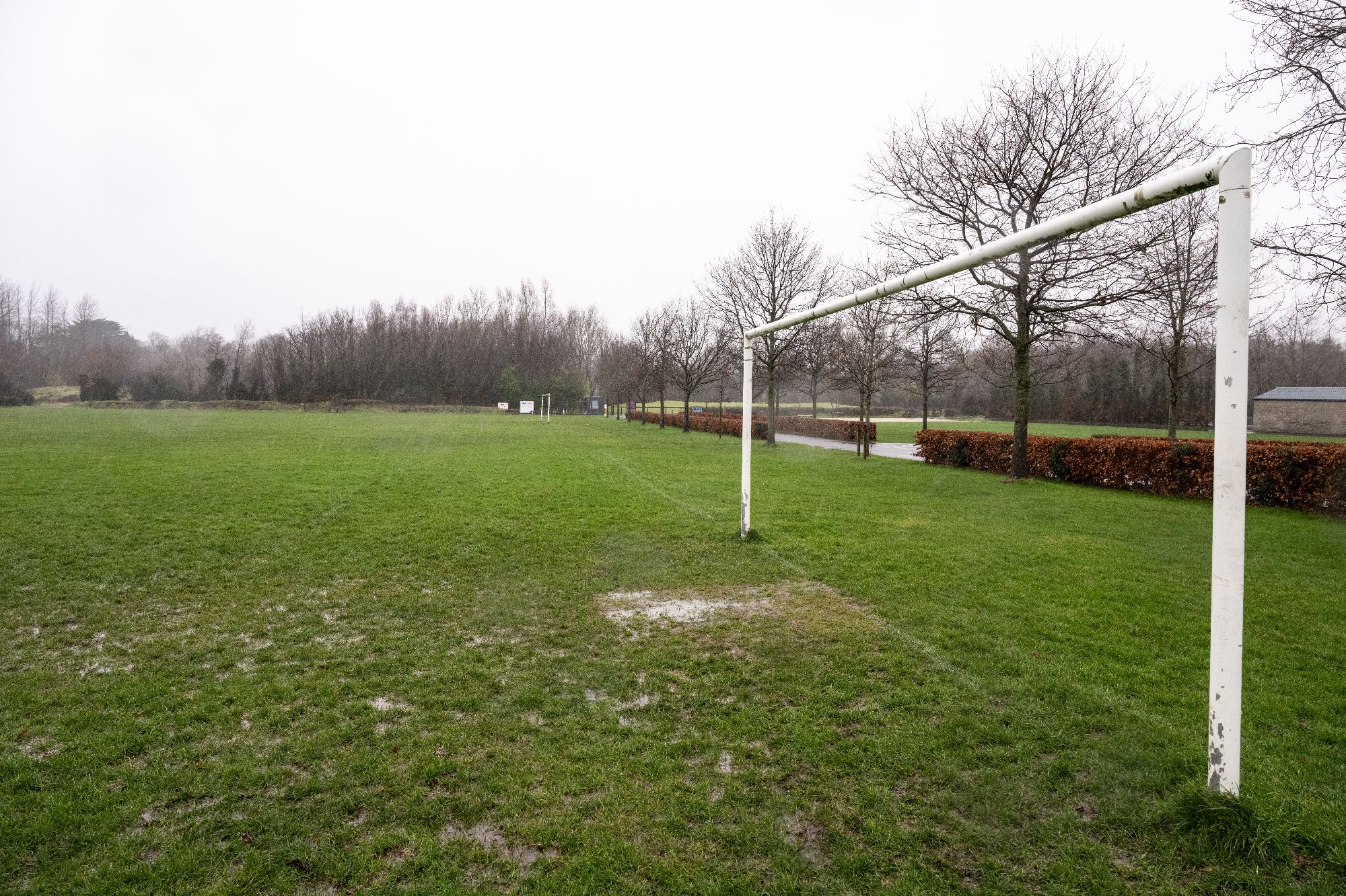 New series of FAI webinars to support funding for clubs
