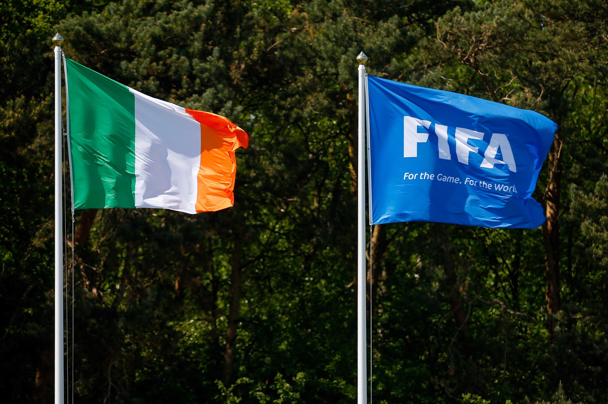 FAI Statement